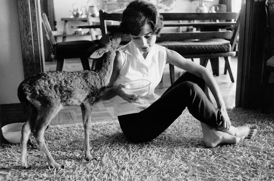 Audrey Hepburn e seu cervo de animação Pippin. Foto: Bob Willoughby/mptvimages.com