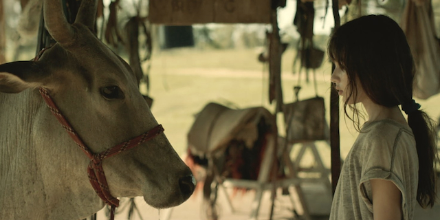 Minha Mãe é uma Vaca, curta que será exibido no Festival de Veneza 2024. Foto: Divulgação.