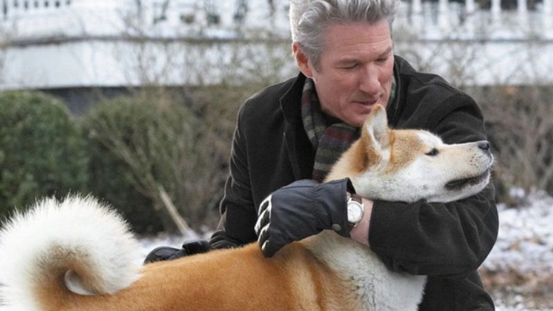 Os cachorros mais famosos do cinema: Hachi, de Sempre ao Seu Lado. Foto: Reprodução.