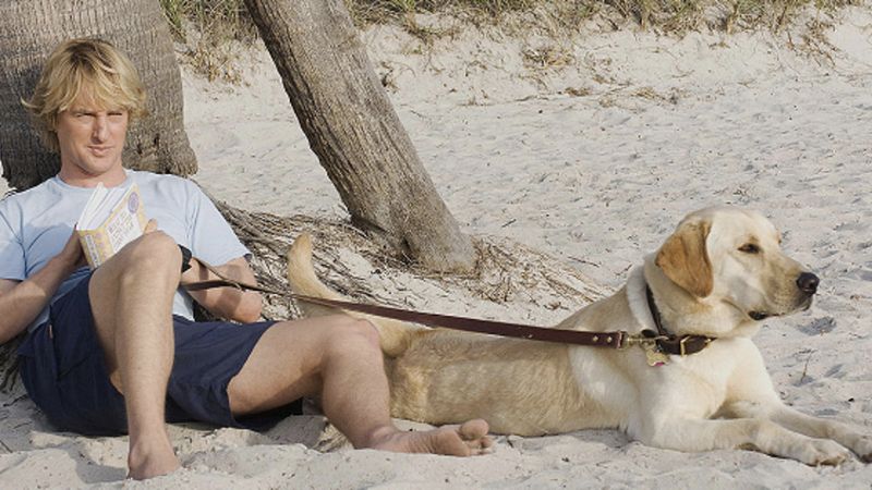 Os cachorros mais famosos do cinema: Marley, de Marley & Eu. Foto: Reprodução.