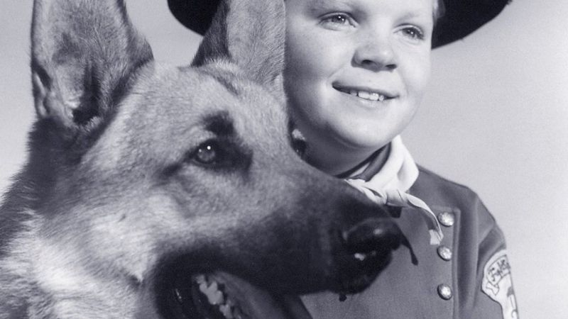 Os cachorros mais famosos do cinema: Rin-Tin-Tin. Foto: Reprodução.
