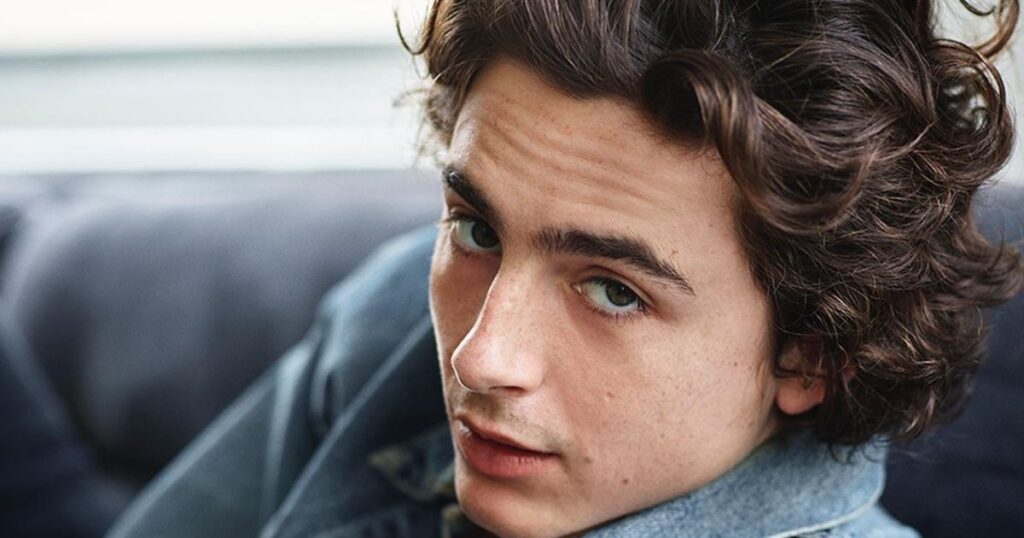 Timothée Chalamet: 10 curiosidades sobre o ator. Foto: Reprodução.