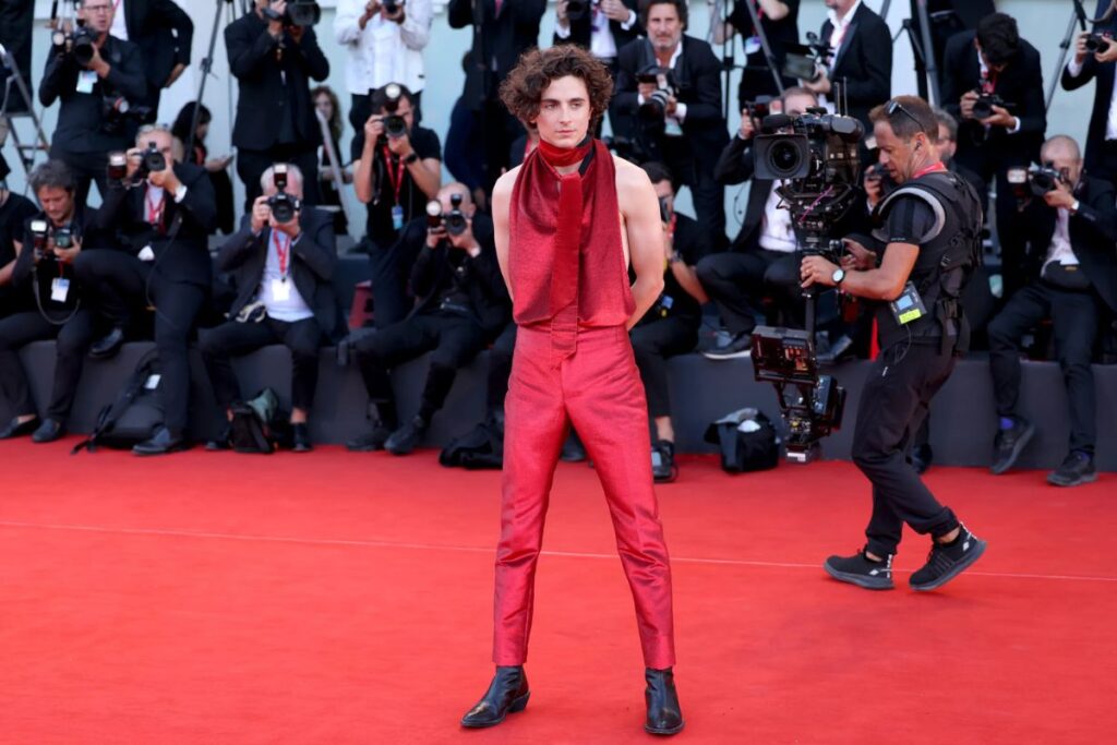 Timothée Chalamet: 10 curiosidades sobre o ator. Foto: Reprodução.